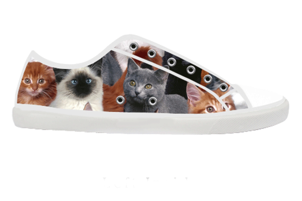 Kitten High Top Shoes , Shoes - spreadlife, SpreadShoes
 - 5
