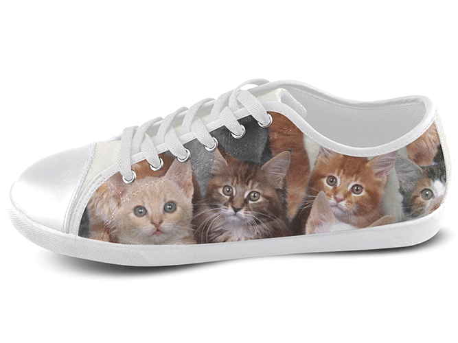 Kitten Low Top Shoes Women's / 5 / White, Low Top Shoes - SpreadShoes, SpreadShoes
 - 1